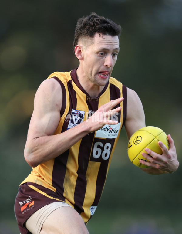 VFL 2024 Elimination Final - Box Hill v Williamstown - A-53599722
