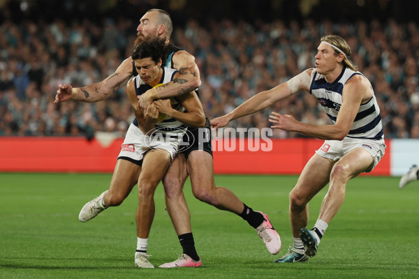AFL 2024 Second Qualifying Final - Port Adelaide v Geelong - A-53689151