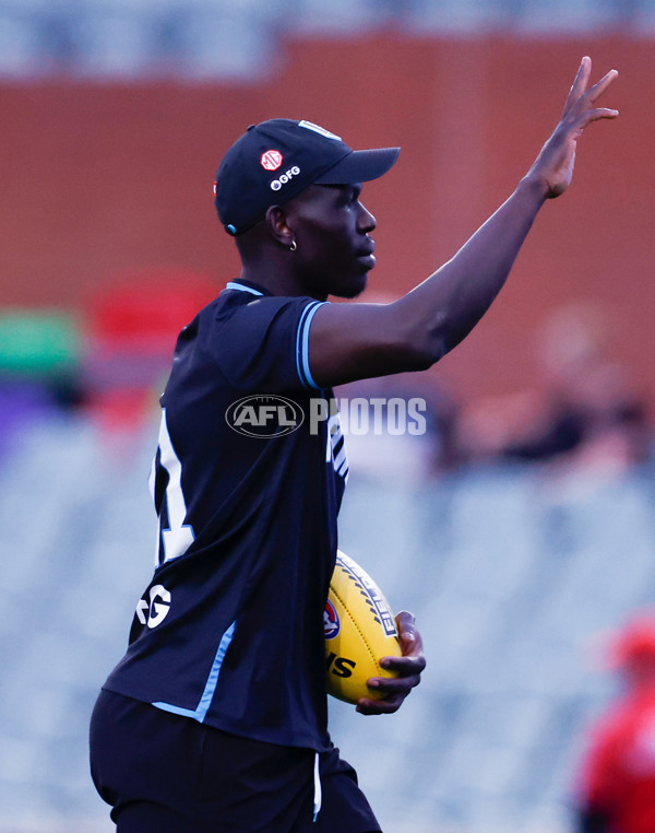 AFL 2024 Second Qualifying Final - Port Adelaide v Geelong - A-53691210