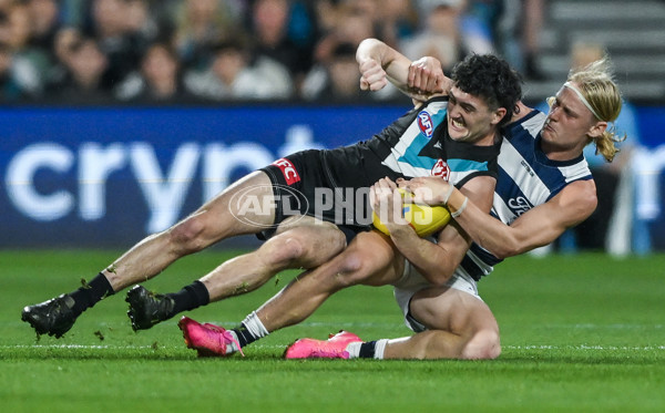 AFL 2024 Second Qualifying Final - Port Adelaide v Geelong - A-53691258