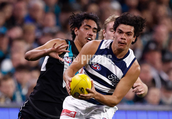 AFL 2024 Second Qualifying Final - Port Adelaide v Geelong - A-53692936