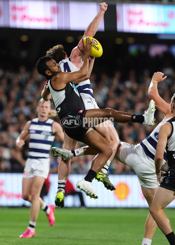 AFL 2024 Second Qualifying Final - Port Adelaide v Geelong - A-53692991