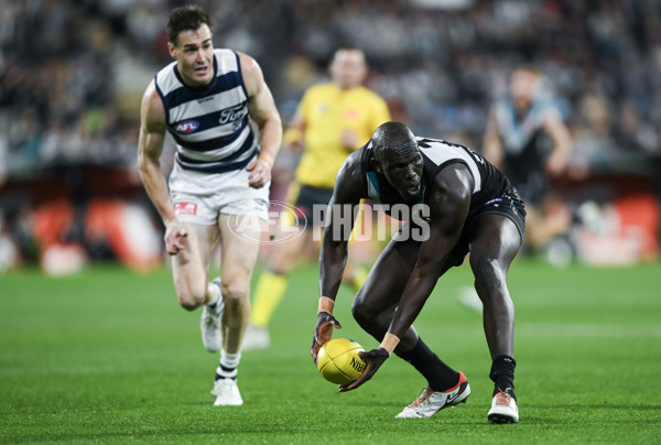 AFL 2024 Second Qualifying Final - Port Adelaide v Geelong - A-53695423