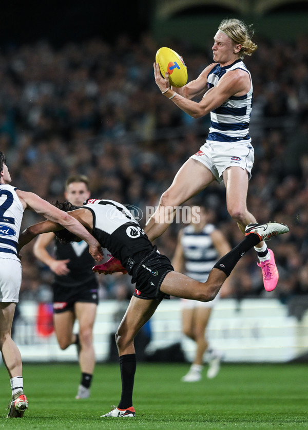 AFL 2024 Second Qualifying Final - Port Adelaide v Geelong - A-53695426