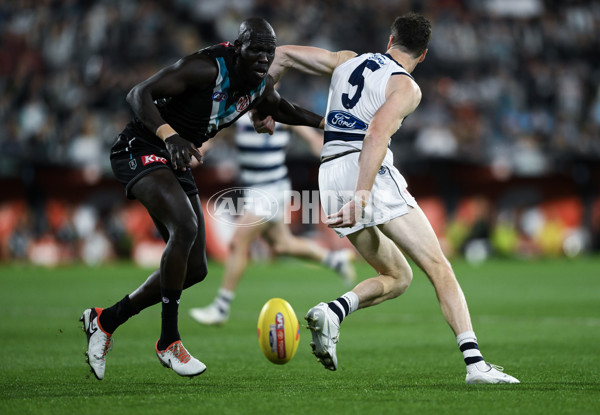 AFL 2024 Second Qualifying Final - Port Adelaide v Geelong - A-53696393
