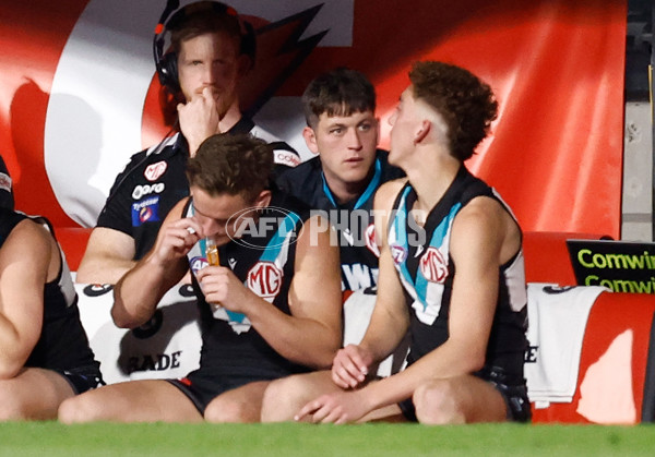 AFL 2024 Second Qualifying Final - Port Adelaide v Geelong - A-53697673
