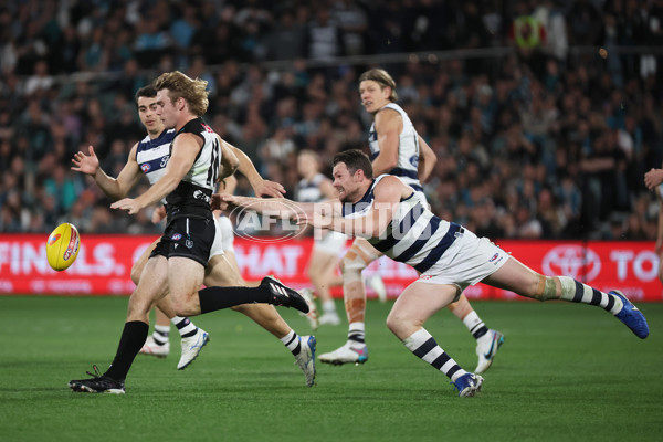 AFL 2024 Second Qualifying Final - Port Adelaide v Geelong - A-53698984