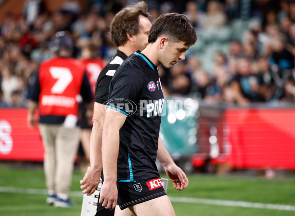 AFL 2024 Second Qualifying Final - Port Adelaide v Geelong - A-53698999