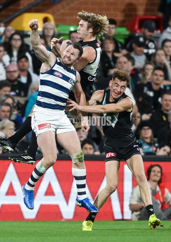AFL 2024 Second Qualifying Final - Port Adelaide v Geelong - A-53699030