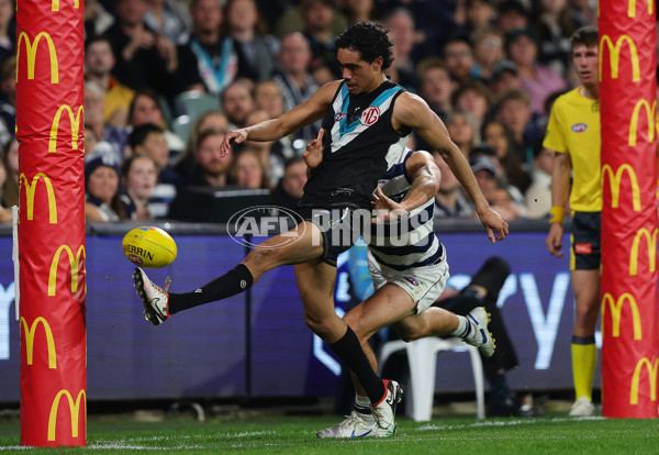 AFL 2024 Second Qualifying Final - Port Adelaide v Geelong - A-53699784