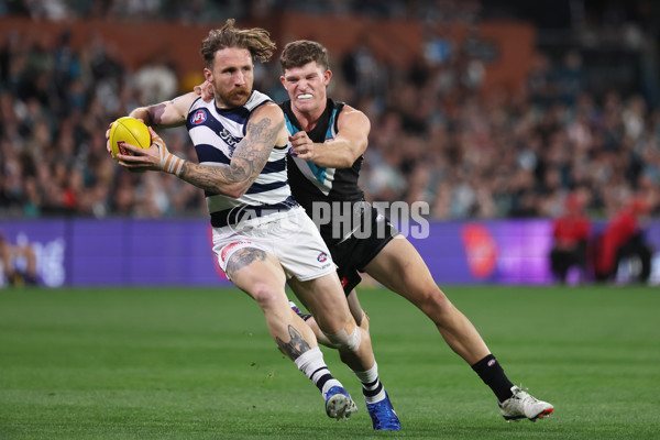 AFL 2024 Second Qualifying Final - Port Adelaide v Geelong - A-53699791