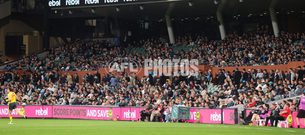 AFL 2024 Second Qualifying Final - Port Adelaide v Geelong - A-53701622