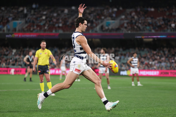 AFL 2024 Second Qualifying Final - Port Adelaide v Geelong - A-53702206