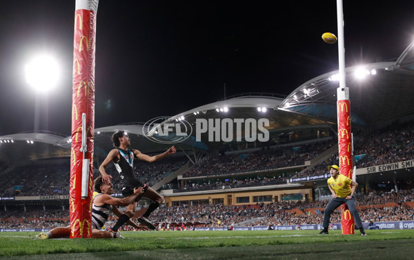 AFL 2024 Second Qualifying Final - Port Adelaide v Geelong - A-53702241