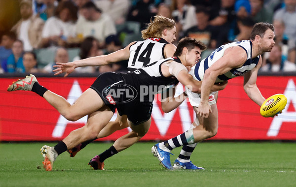 AFL 2024 Second Qualifying Final - Port Adelaide v Geelong - A-53702246