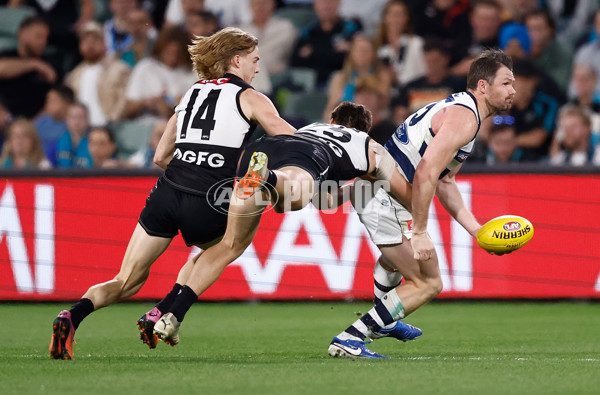 AFL 2024 Second Qualifying Final - Port Adelaide v Geelong - A-53702247