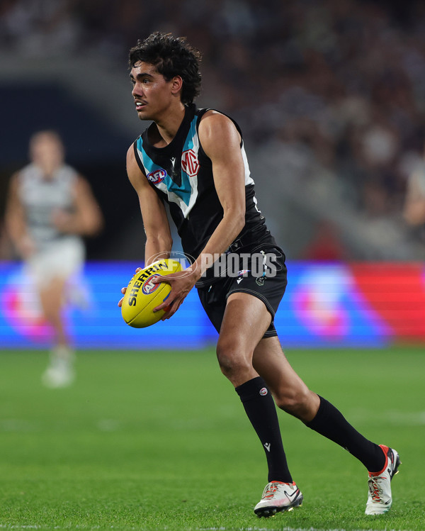AFL 2024 Second Qualifying Final - Port Adelaide v Geelong - A-53703833