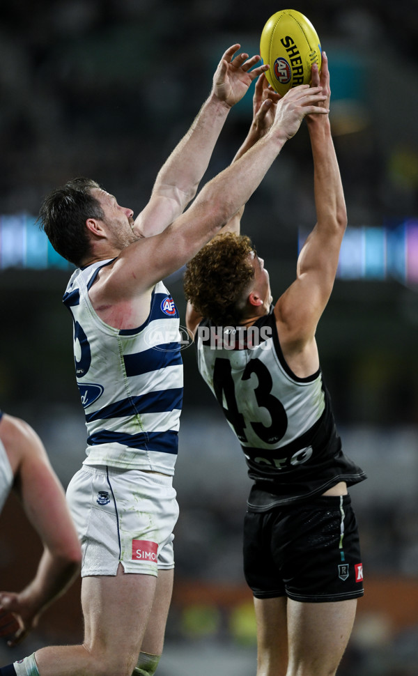 AFL 2024 Second Qualifying Final - Port Adelaide v Geelong - A-53703872