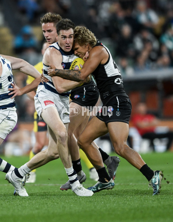 AFL 2024 Second Qualifying Final - Port Adelaide v Geelong - A-53703876