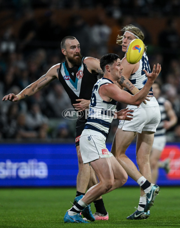 AFL 2024 Second Qualifying Final - Port Adelaide v Geelong - A-53704933