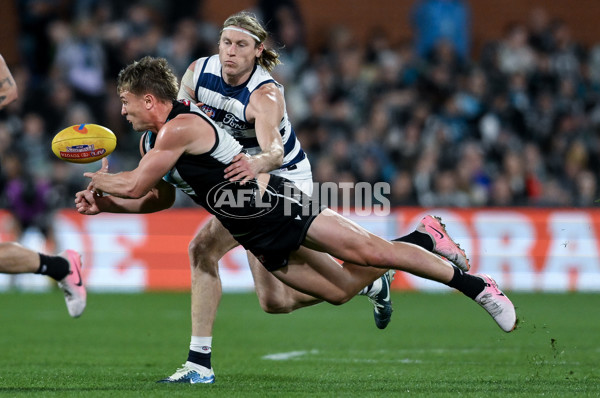 AFL 2024 Second Qualifying Final - Port Adelaide v Geelong - A-53704935