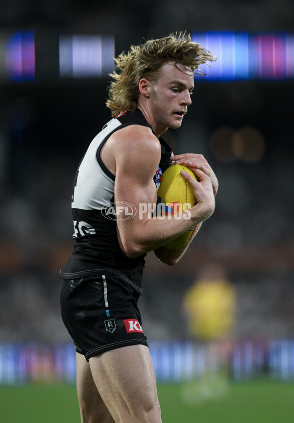 AFL 2024 Second Qualifying Final - Port Adelaide v Geelong - A-53704946