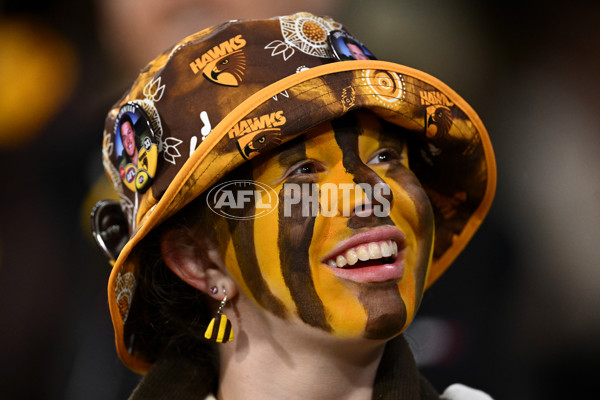 AFL 2024 Second Elimination Final - Western Bulldogs v Hawthorn - A-53714616