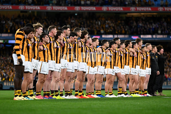 AFL 2024 Second Elimination Final - Western Bulldogs v Hawthorn - A-53715392