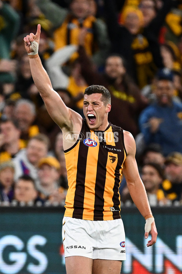 AFL 2024 Second Elimination Final - Western Bulldogs v Hawthorn - A-53715402