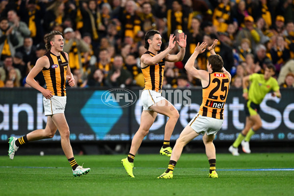 AFL 2024 Second Elimination Final - Western Bulldogs v Hawthorn - A-53715406