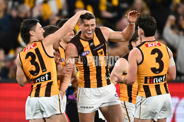 AFL 2024 Second Elimination Final - Western Bulldogs v Hawthorn - A-53715413