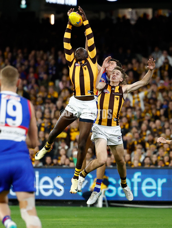 AFL 2024 Second Elimination Final - Western Bulldogs v Hawthorn - A-53715417