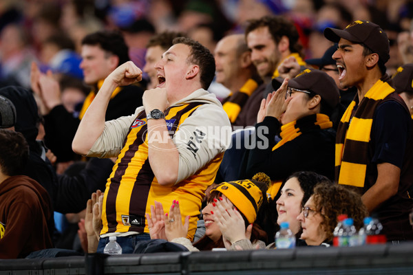 AFL 2024 Second Elimination Final - Western Bulldogs v Hawthorn - A-53715424