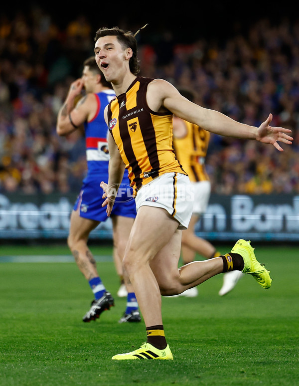 AFL 2024 Second Elimination Final - Western Bulldogs v Hawthorn - A-53717056