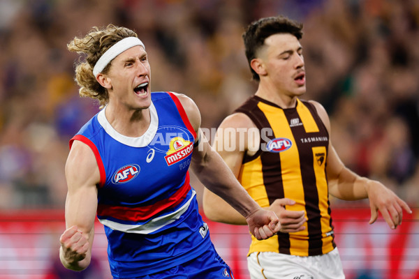 AFL 2024 Second Elimination Final - Western Bulldogs v Hawthorn - A-53717062