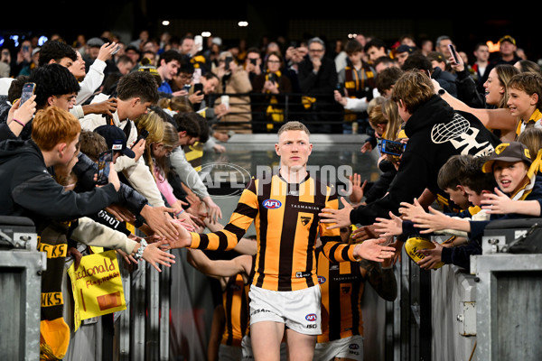 AFL 2024 Second Elimination Final - Western Bulldogs v Hawthorn - A-53717065