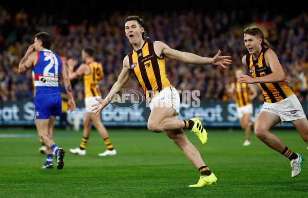 AFL 2024 Second Elimination Final - Western Bulldogs v Hawthorn - A-53717075