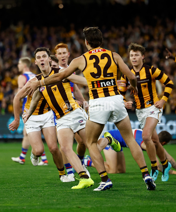 AFL 2024 Second Elimination Final - Western Bulldogs v Hawthorn - A-53717077