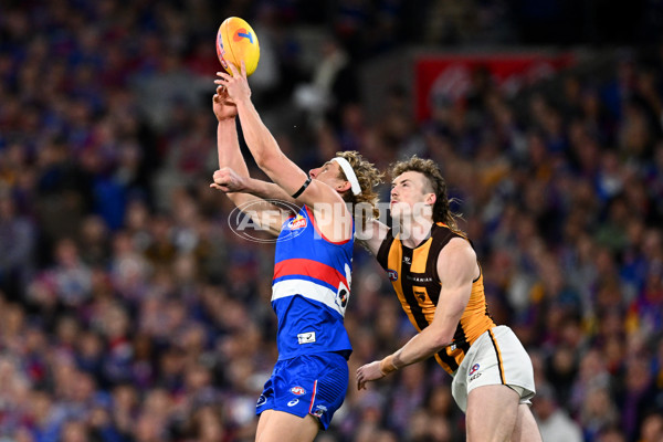AFL 2024 Second Elimination Final - Western Bulldogs v Hawthorn - A-53717086