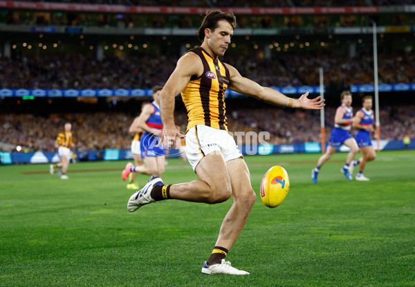 AFL 2024 Second Elimination Final - Western Bulldogs v Hawthorn - A-53717087