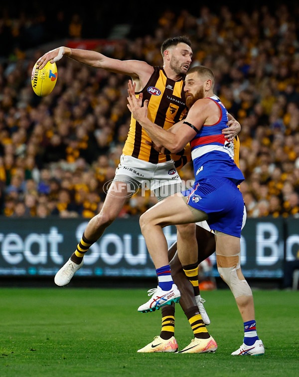 AFL 2024 Second Elimination Final - Western Bulldogs v Hawthorn - A-53717096
