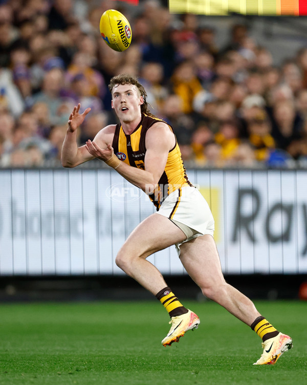 AFL 2024 Second Elimination Final - Western Bulldogs v Hawthorn - A-53717104