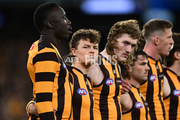 AFL 2024 Second Elimination Final - Western Bulldogs v Hawthorn - A-53717129