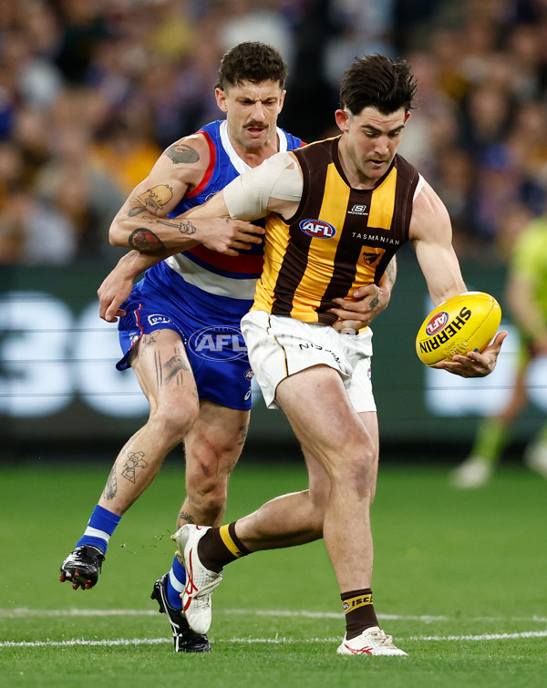 AFL 2024 Second Elimination Final - Western Bulldogs v Hawthorn - A-53717142