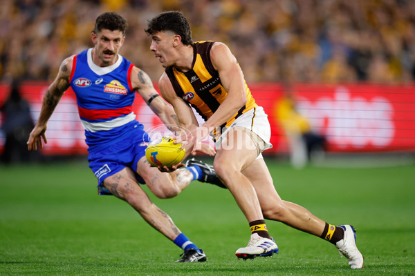 AFL 2024 Second Elimination Final - Western Bulldogs v Hawthorn - A-53718188