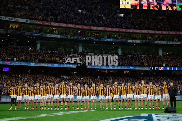 AFL 2024 Second Elimination Final - Western Bulldogs v Hawthorn - A-53718192