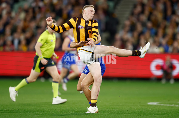 AFL 2024 Second Elimination Final - Western Bulldogs v Hawthorn - A-53718217