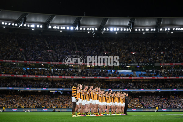 AFL 2024 Second Elimination Final - Western Bulldogs v Hawthorn - A-53718223