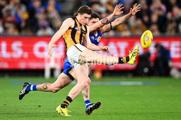 AFL 2024 Second Elimination Final - Western Bulldogs v Hawthorn - A-53718237
