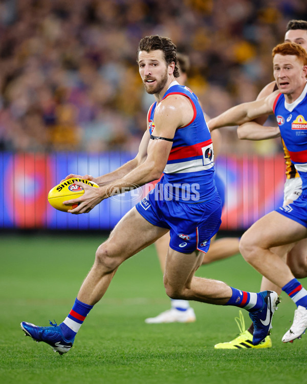 AFL 2024 Second Elimination Final - Western Bulldogs v Hawthorn - A-53718252